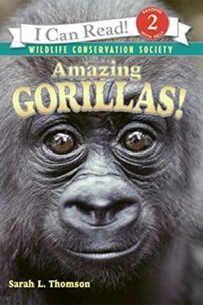 Picture of AMAZING GORILLAS!
