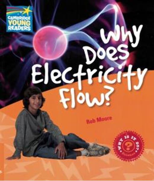 Picture of WHY DOES ELECTRICITY FLOW? - LEVEL 6