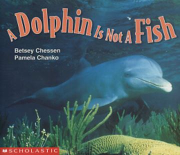 Imagem de A DOLPHIN IS NOT A FISH
